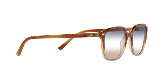 Ray-Ban Leonard Sunglasses RB2193 1328GD