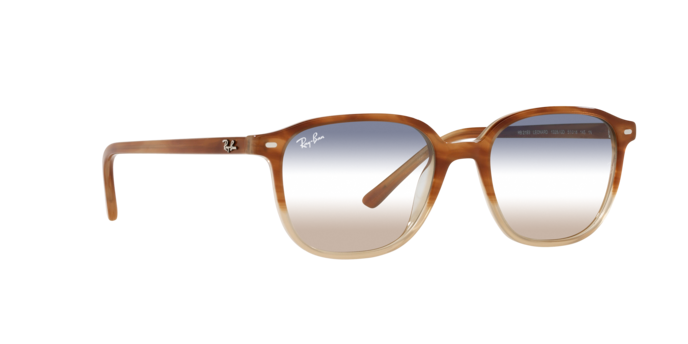 Ray-Ban Leonard Sunglasses RB2193 1328GD