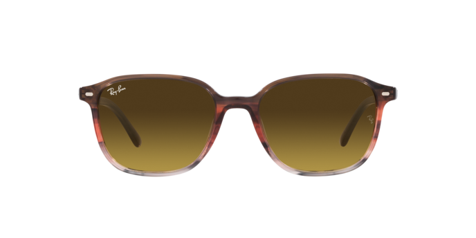 Ray-Ban Leonard Sunglasses RB2193 138085