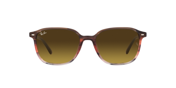 Ray-Ban Leonard RB2193 138085