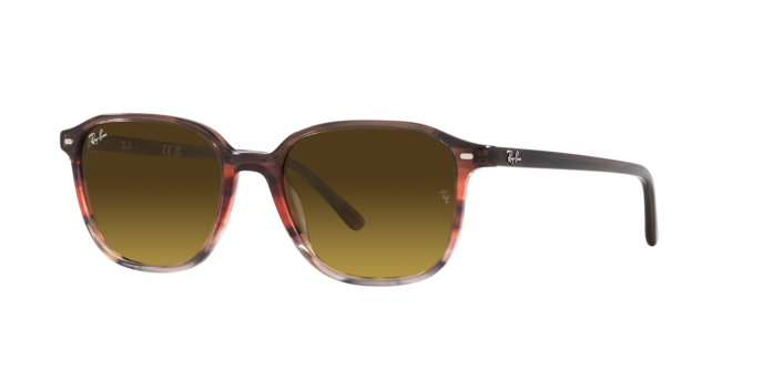 Ray-Ban Leonard Sunglasses RB2193 138085