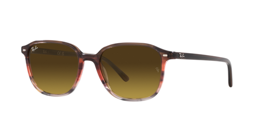 Ray-Ban Leonard Sunglasses RB2193 138085