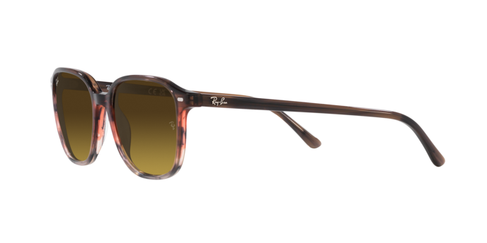 Ray-Ban Leonard Sunglasses RB2193 138085