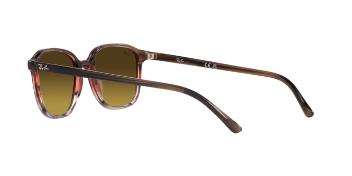 Ray-Ban Leonard Sunglasses RB2193 138085