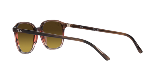 Ray-Ban Leonard Sunglasses RB2193 138085