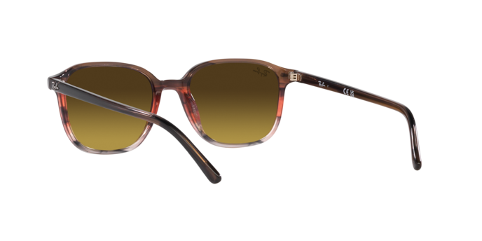 Ray-Ban Leonard Sunglasses RB2193 138085