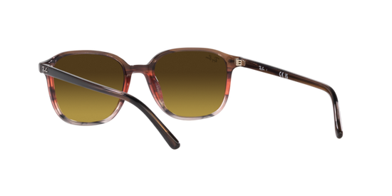 Ray-Ban Leonard Sunglasses RB2193 138085