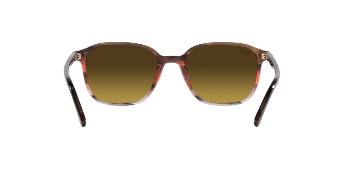 Ray-Ban Leonard Sunglasses RB2193 138085