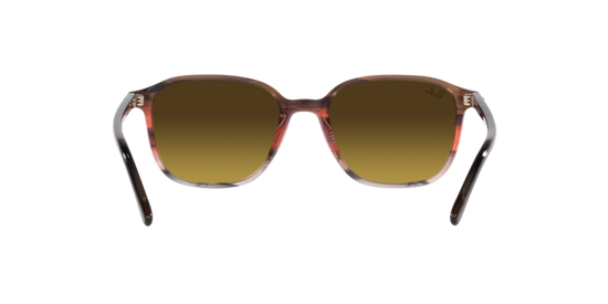 Ray-Ban Leonard Sunglasses RB2193 138085