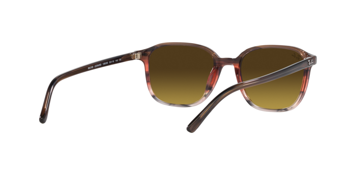 Ray-Ban Leonard Sunglasses RB2193 138085