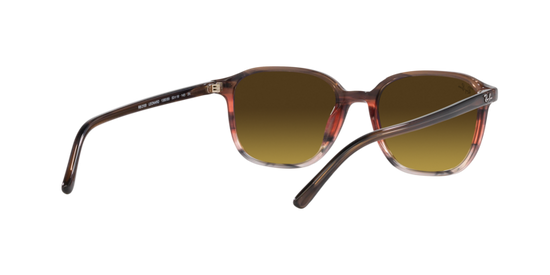 Ray-Ban Leonard Sunglasses RB2193 138085