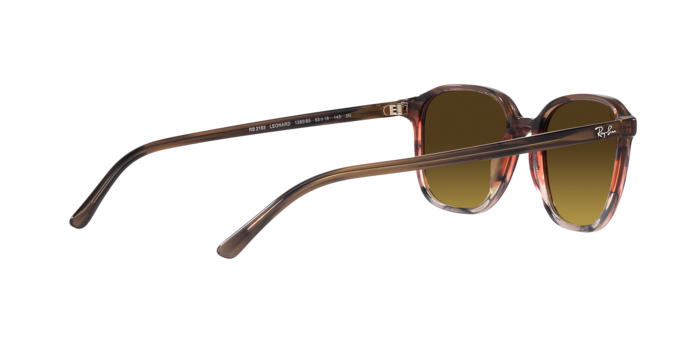 Ray-Ban Leonard Sunglasses RB2193 138085