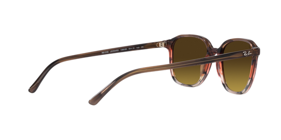 Ray-Ban Leonard Sunglasses RB2193 138085