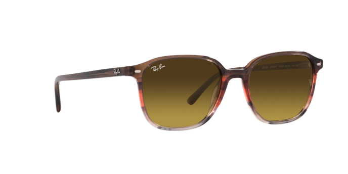 Ray-Ban Leonard Sunglasses RB2193 138085