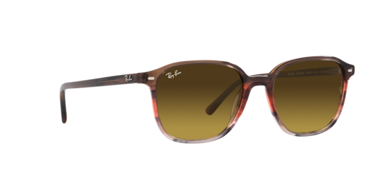 Ray-Ban Leonard Sunglasses RB2193 138085