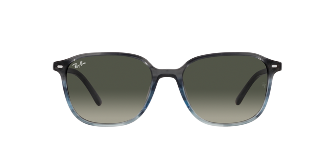 Ray-Ban Leonard Sunglasses RB2193 138171