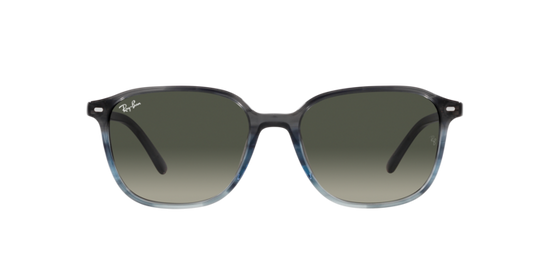 Ray-Ban Leonard Sunglasses RB2193 138171