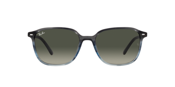 Ray-Ban Leonard RB2193 138171