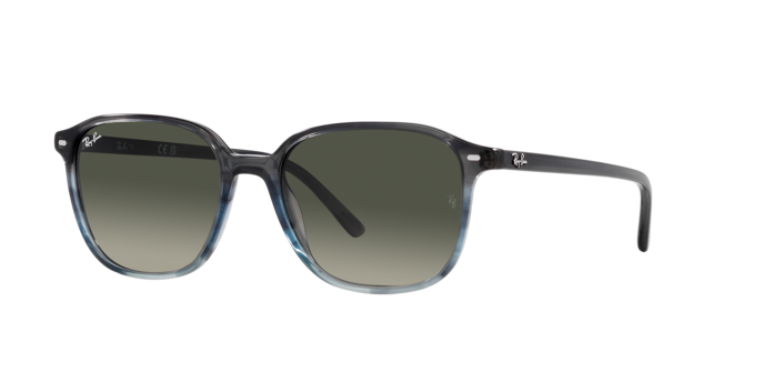 Ray-Ban Leonard Sunglasses RB2193 138171