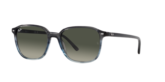 Ray-Ban Leonard Sunglasses RB2193 138171