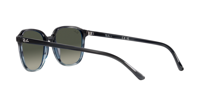 Ray-Ban Leonard Sunglasses RB2193 138171