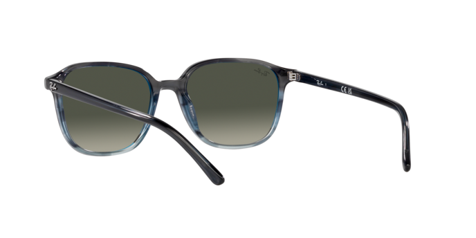 Ray-Ban Leonard Sunglasses RB2193 138171