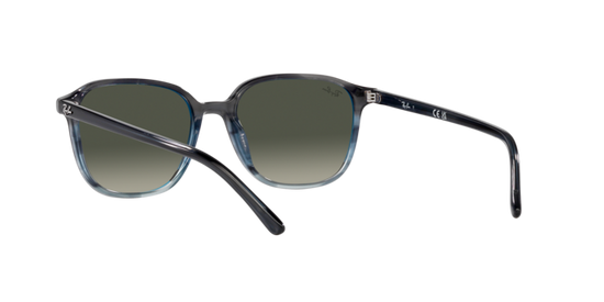 Ray-Ban Leonard Sunglasses RB2193 138171