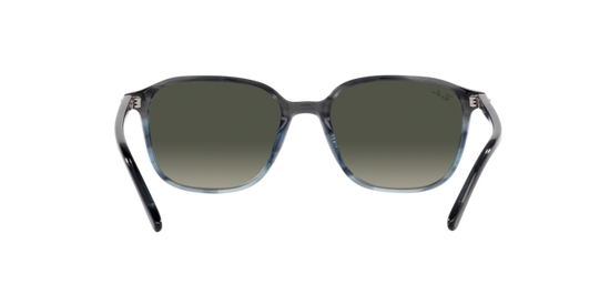 Ray-Ban Leonard Sunglasses RB2193 138171