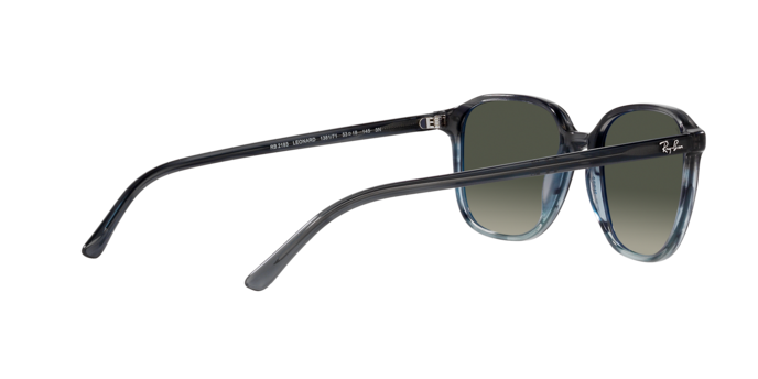 Ray-Ban Leonard Sunglasses RB2193 138171