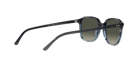 Ray-Ban Leonard Sunglasses RB2193 138171