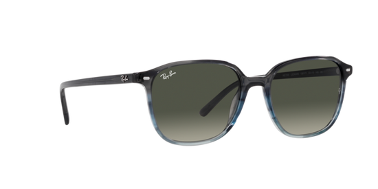 Ray-Ban Leonard Sunglasses RB2193 138171