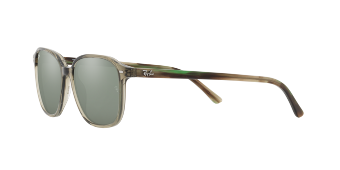 Ray-Ban Leonard Sunglasses RB2193 66355C