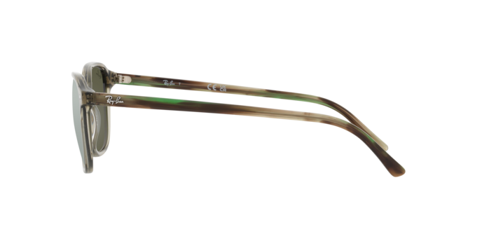 Ray-Ban Leonard Sunglasses RB2193 66355C