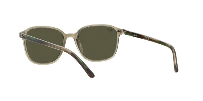 Ray-Ban Leonard Sunglasses RB2193 66355C