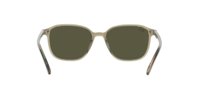 Ray-Ban Leonard Sunglasses RB2193 66355C