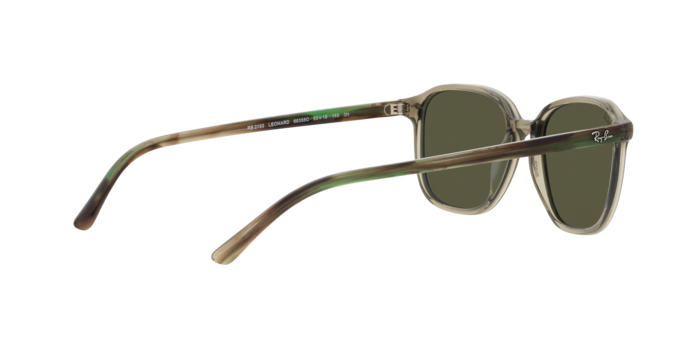 Ray-Ban Leonard Sunglasses RB2193 66355C