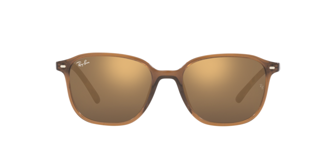 Ray-Ban Leonard Sunglasses RB2193 663693