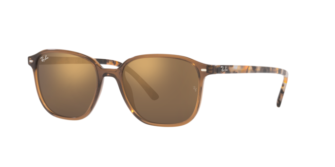 Ray-Ban Leonard Sunglasses RB2193 663693