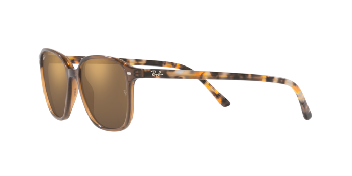 Ray-Ban Leonard Sunglasses RB2193 663693