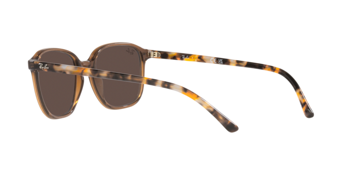 Ray-Ban Leonard Sunglasses RB2193 663693