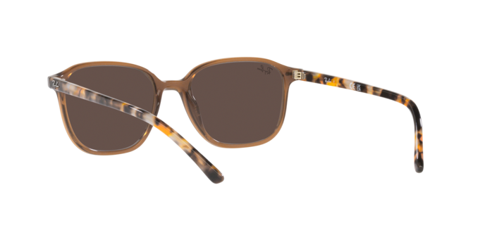 Ray-Ban Leonard Sunglasses RB2193 663693