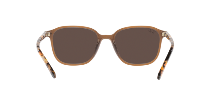 Ray-Ban Leonard Sunglasses RB2193 663693