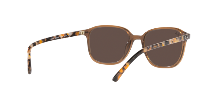 Ray-Ban Leonard Sunglasses RB2193 663693