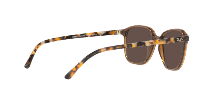 Ray-Ban Leonard Sunglasses RB2193 663693