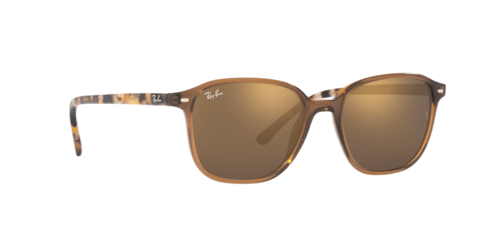 Ray-Ban Leonard Sunglasses RB2193 663693