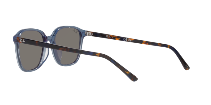 Ray-Ban Leonard Sunglasses RB2193 6638O4