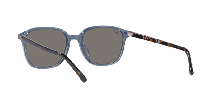 Ray-Ban Leonard Sunglasses RB2193 6638O4