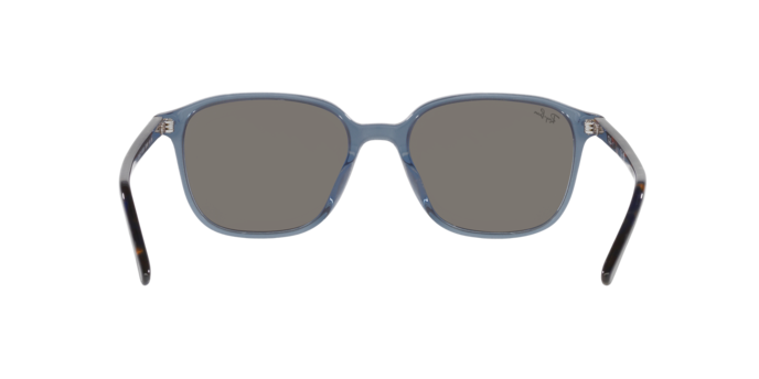 Ray-Ban Leonard Sunglasses RB2193 6638O4