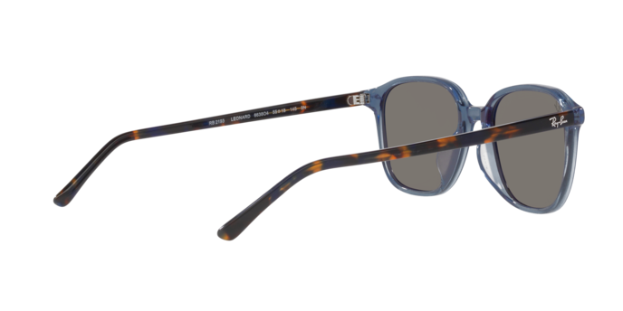 Ray-Ban Leonard Sunglasses RB2193 6638O4