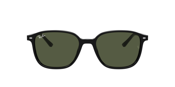 Ray-Ban Leonard Sunglasses RB2193 901/31